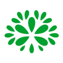 Aquilea